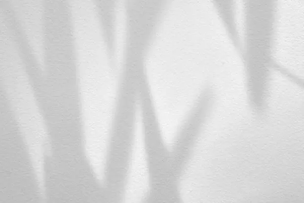 Beyaz Beton Duvardaki Bambu Yaprakları.