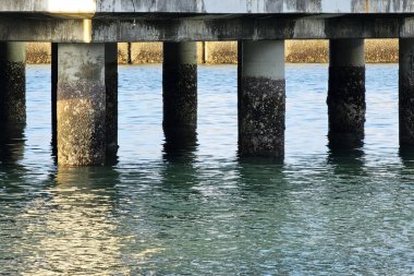 Denizdeki Beton Köprü Sütunları.