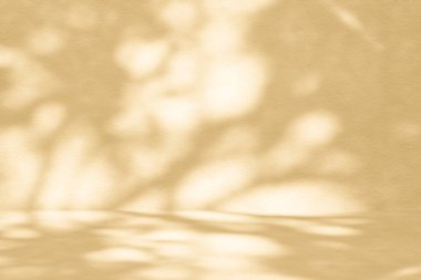 Beton Duvarda Doğa Gölgeli Kahverengi Oda Dokuma Arkaplanı, Kozmetik Ürün Sunum Arkaplanı, Görünüm ve Moda İçin Uygun.