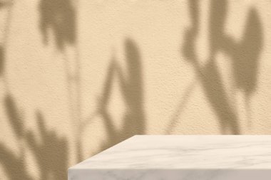 Beton Beton Beton Duvarda Ağaç Gölgesi olan en az mermer masa köşesi, Ürün Sunumu, Görünüm ve Moda İçin Uygun.