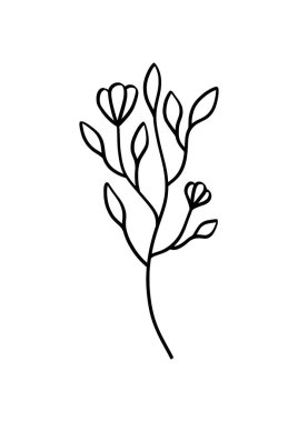 Beyaz Arkaplanda Minimalist El Çizimi Biçimi.