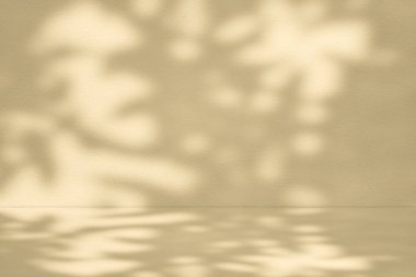 Bej Oda Arkaplanındaki Işık Işını ve Gölge, Kozmetik Ürün Sunumu, Görünüm ve Moda İçin Uygun.