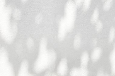 Beyaz Serin Beton Duvarda Ağaç Dallarının Gölgesi.