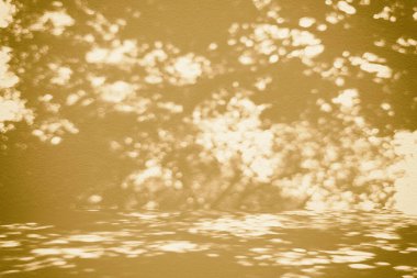 Beton Duvardaki Doğa Gölgesi Bej Işık ve Gölge Arkaplanı Kozmetik Ürün Sunumu, Görünüm ve Moda İçin Uygun.