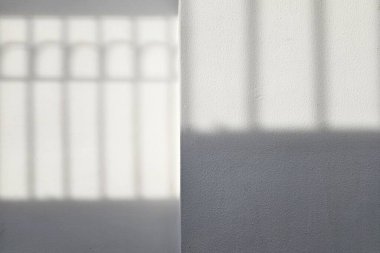 Yüzeyinde Doğal Işık ve Yüzey olan Beyaz Kutup ve Gri Duvar Arkaplanı.