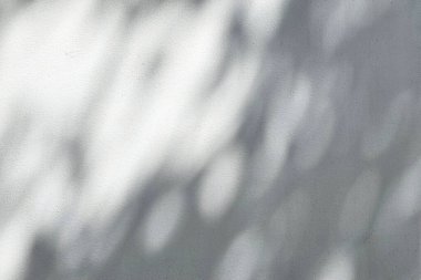 Yüzeyinde Doğal Işık ve Bokeh olan Beyaz Duvar Arkaplanı.
