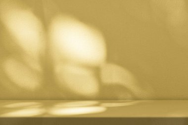 Beton Duvardaki Doğa Gölgesi Altında Altın Stucco Masası Kozmetik Ürün Sunum Arkaplanı, Görünüm ve Moda İçin Uygun.