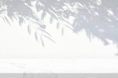 Shameplant 'lı Mermer Masa, Stucco Duvarı Doku Arkaplanında Gölgeyi Bırakıyor, Ürün Sunum Arkaplanı, Görüntü ve Moda İçin Uygun.