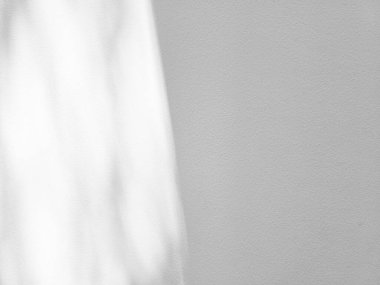 Beyaz duvar arkaplanındaki yaprakların soyut gölgesi doğal bir örtüşme etkisi yaratır..