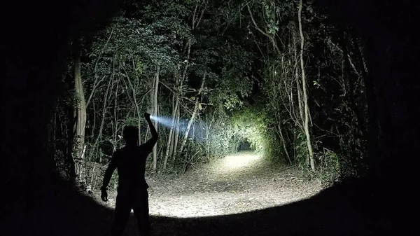 Silhouette Dell Uomo Piedi Nel Buio Nella Foresta Con Torcia Foto Stock