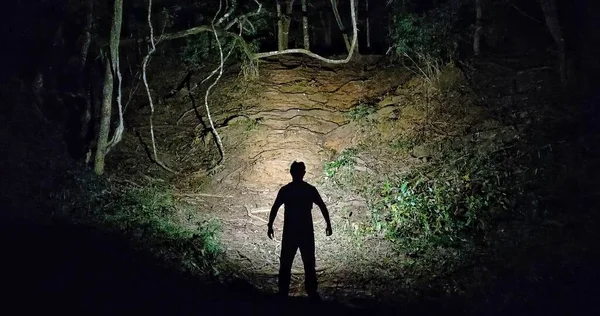 Silhouette Homme Debout Dans Obscurité Dans Forêt Avec Une Lampe Image En Vente