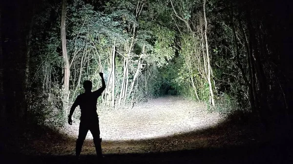 Silhouette Homme Debout Dans Obscurité Dans Forêt Avec Une Lampe Photos De Stock Libres De Droits