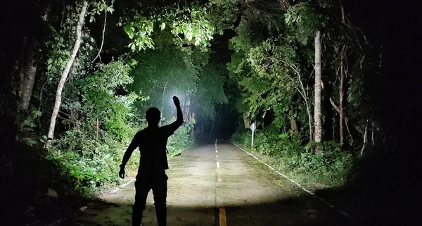 懐中電灯 アスファルトの道路照明と森の中で暗闇の中に立っている男のシルエット ロイヤリティフリーのストック画像