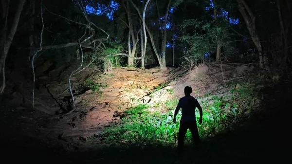 Силуэт Человека Стоящего Темноте Лесу Фонариком Лицензионные Стоковые Изображения