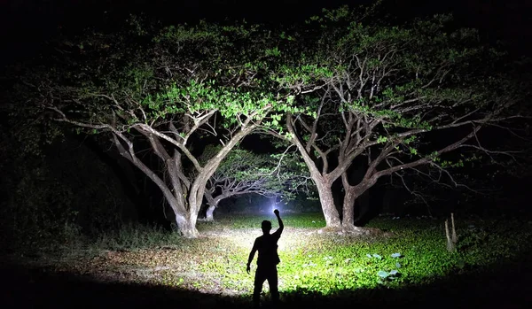 Ein Mann Mit Einer Superhellen Taschenlampe Die Schönen Bäumen Leuchtet lizenzfreie Stockbilder