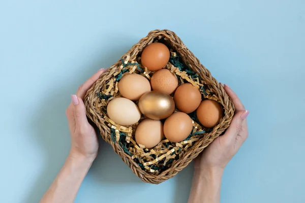 Gift basket with easter eggs. Women hands holding golden and natural color eggsin basket. Top view on pastel blue background