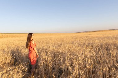 Buğday tarlasında genç bir kadın, zihinsel ve fiziksel refah kavramı. Boşluğu kopyala.