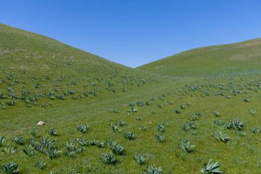 Kazakistan bozkırındaki arazi manzarası.