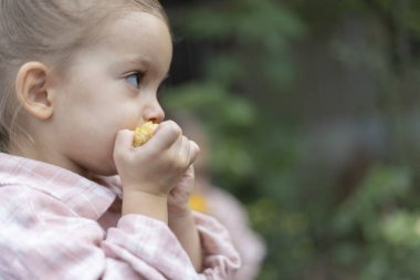 Yeşil arka planda mısır yiyen güzel bir kızın portresi. Boşluğu kopyala.