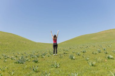 Elleri havada sahada, yeşil alanda mavi gökyüzü manzaralı neşeli kadınların arka manzarası. Yüzsüz.