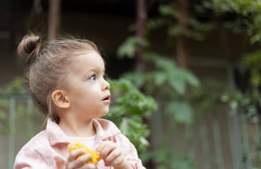 Mısırı yeşil arka planda tutan komik genç kızın portresi. Boşluğu kopyala.
