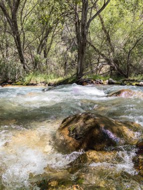 Büyük kayalarla ormandan akan sakin dağ nehri..