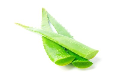 Fresh green Aloe Vera leaves isolated on white background.