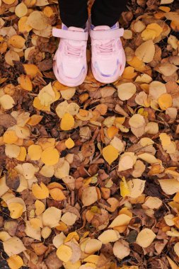 Sonbahar yapraklarında pembe ayakkabılı bir kız. Dikey Yönlendirme