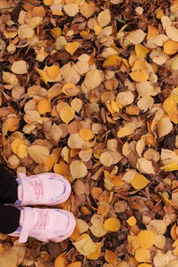 Sonbahar yapraklarındaki bebek ayakkabıları