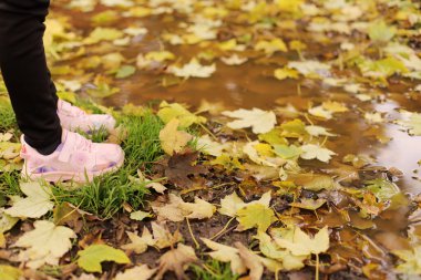 Akçaağaç sarı sonbahar yapraklarının üzerinde duran kız