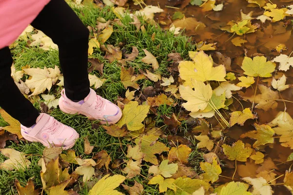 girl\'s legs walk through the autumn foliage, close-up leaves