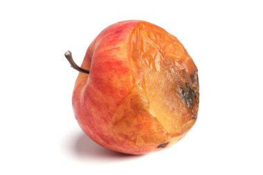 Red rotten spoiled apple isolated on white background
