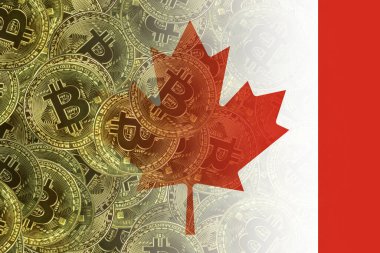 Flag of Canada on the background of bitcoin coins, the concept of investing in cryptocurrency, blockchain technology