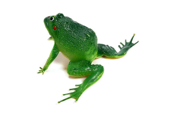 Toy Green Frog Isolated White Background — Stock Photo, Image