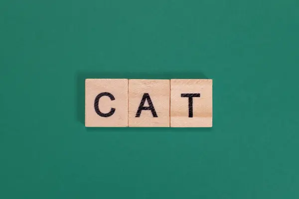 배경에 나무로 편지에 나오는 고양이 — 스톡 사진
