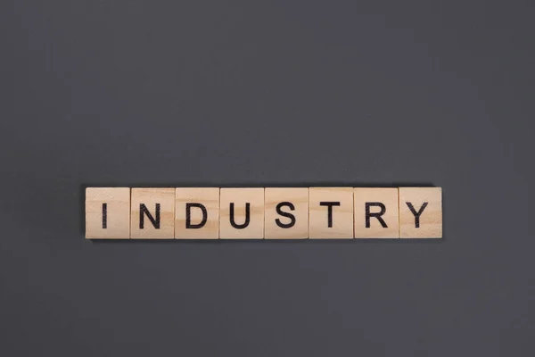 Industry Word Wooden Blocks Gray Background — Stock Photo, Image