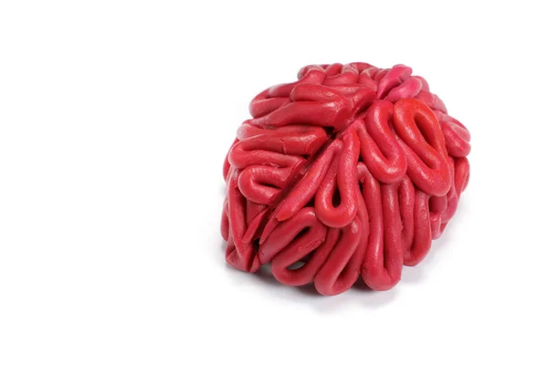 ヒトの脳 白色に隔離されたプラスチックモデル — ストック写真