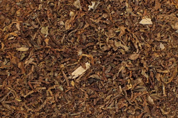 Ezilmiş Kuru Tütün Yapraklarının Arka Planı — Stok fotoğraf