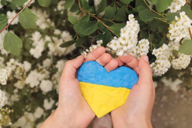Ukrayna bayrağı renginde çiçeklerden oluşan plastikten yapılmış bir kalbi tutan çocuk elleri