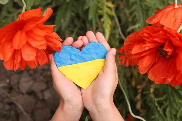 child hands holding heart painted in ukraine flag on the background of poppies