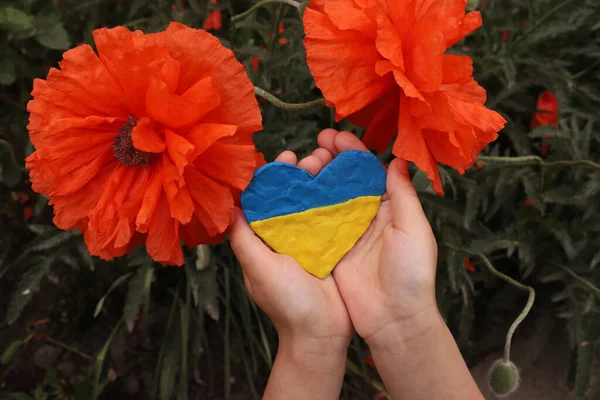 child hands holding heart painted in ukraine flag on the background of poppies