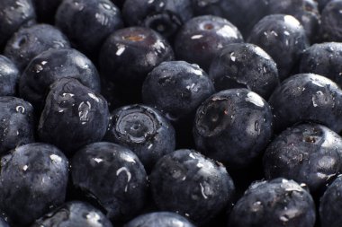 Taze olgun yaban mersini arkaplanı, doku, seçici odak