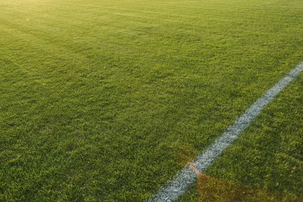 日没の光線のサッカー場の芝生 テキストのコピースペース ストック画像