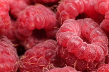 Taze kırmızı ahududu dokusu makroyu kapatın.