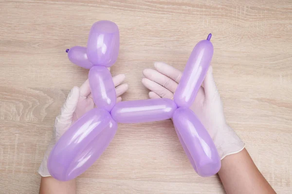 Hände Halten Ballon Pudel Hund — Stockfoto