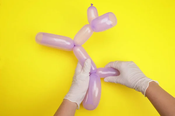 Hände Basteln Einen Hund Aus Einem Luftballon — Stockfoto