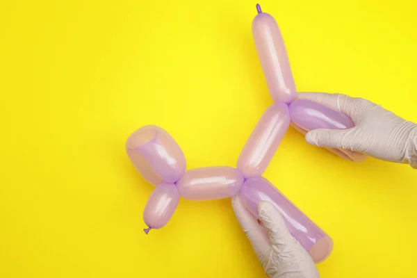 stock image Hands holding balloon poodle dog