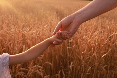 buğday tarlasında çocuklu baba, aile kavramı, destek