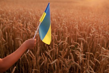 Ukrayna bayrağını buğday tarlasında tutan çocuğun eli. Konsept ihraç et, tahıl koridoru