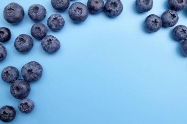 Mavi arka planda olgun taze yaban mersinleri